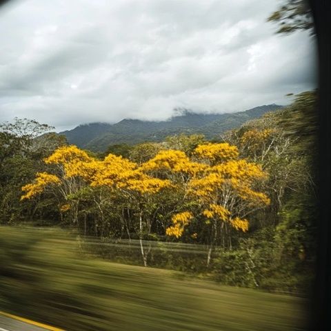 开往春天的列车-沿途的风景